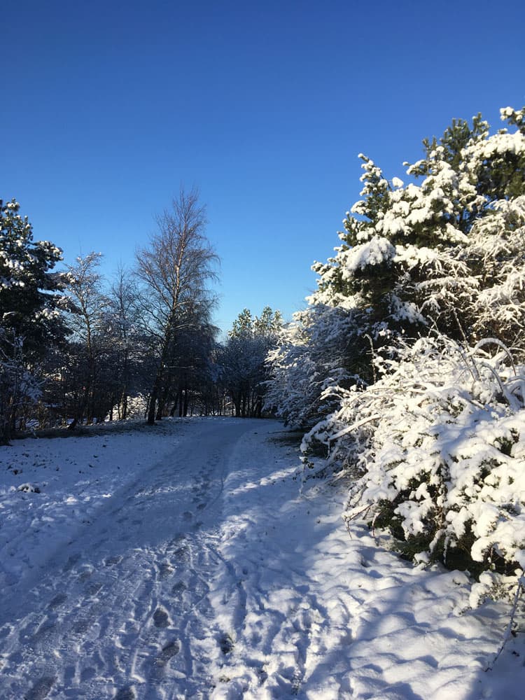 Consett Magazine Editorial – February 2022