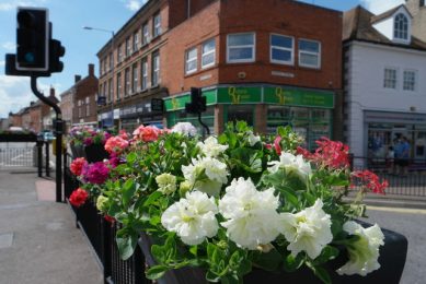 Stanley Blossoms for Northumbria in Bloom