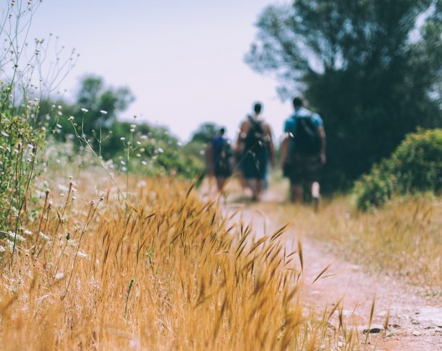 6 Free or Cheap Things to do around Consett