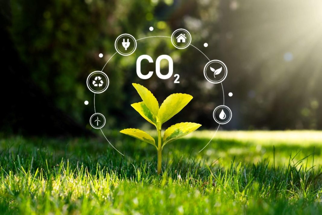 Tips for managing your carbon footprint