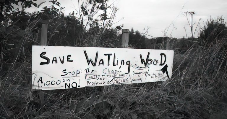 Watling Woods Needs Your Help: Say No to Calibrate’s Plans