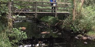 Consett & Vale of Derwent Naturalists’ Field Club (known as Consett Walking Club)