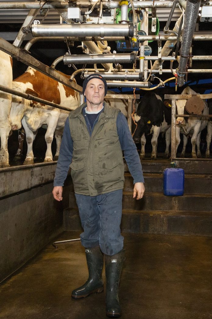 'Consett in Focus' Nurturing the Land: A Dairy Farmer's Tale