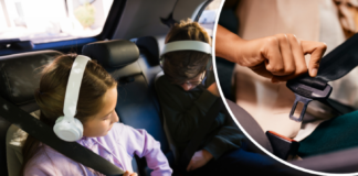 Clunk Click Every Trip! Seatbelts save lives