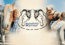 Randoms Retreat CIC, The “Horse Power” Healing Hearts and Minds in Medomsley Randoms Retreat CIC - Consett Magazine