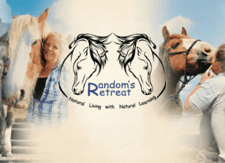 Randoms Retreat CIC, The “Horse Power” Healing Hearts and Minds in Medomsley Randoms Retreat CIC - Consett Magazine